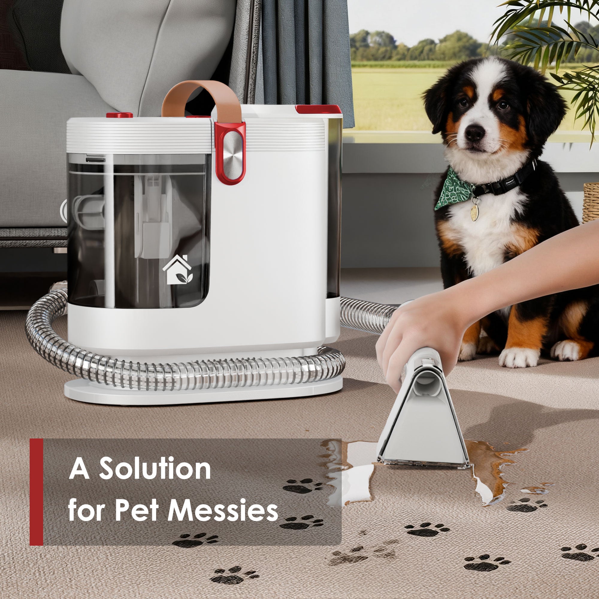 WURESE Portable Carpet Cleaner Machine, Couch Cleaner Machine, 15Kpa Upholstery Washer with 3 Tools, 54oz Large Water Tank, 16.4ft Power Cord, Couches